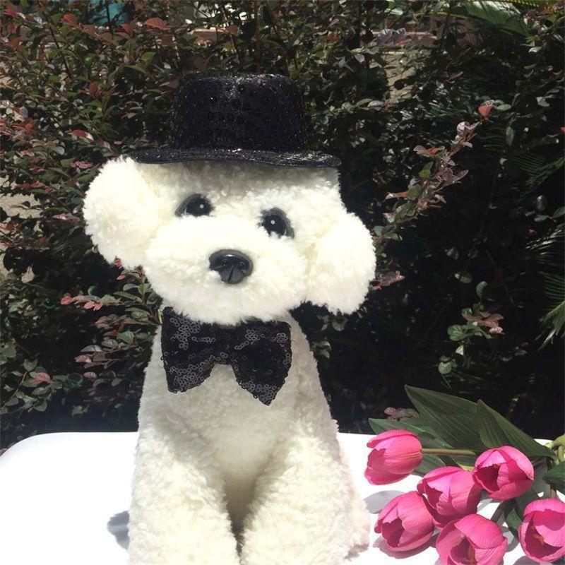 Dog Top Hat & Bow Ties Pet Birthday Costumes Set for Cat Dog Christmas Birthday