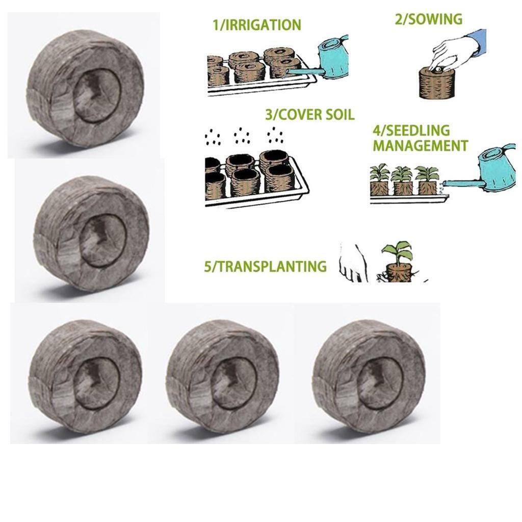40Pcs Nursery Block Peat  Thumb Seedling  Block 31mm
