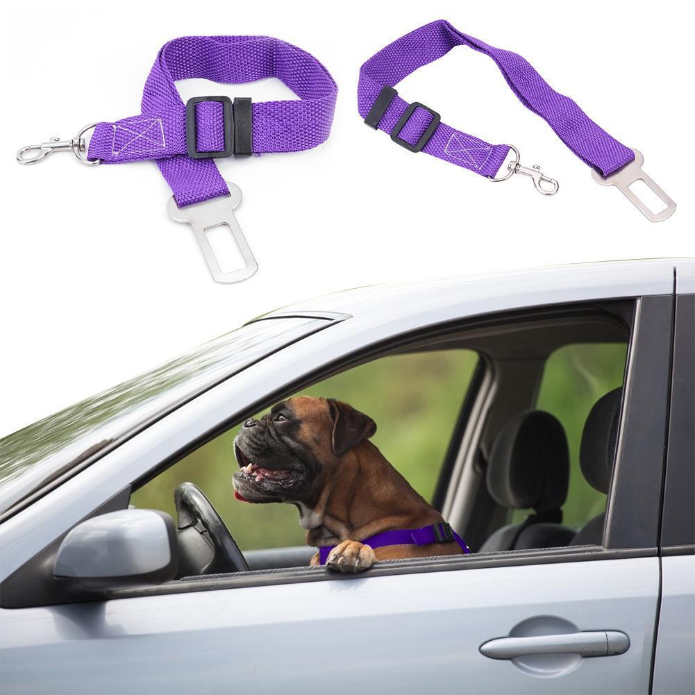 Car Pet Dog Seat Belt Puppy Safety Seatbelt Dog Harness Lead Clip (Purple)