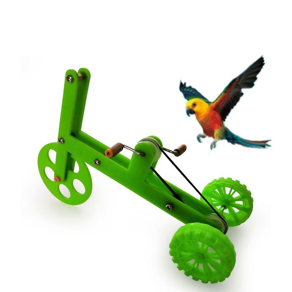 Funny Parrot   Educational Training Supplies for Cockatiel Parakeet