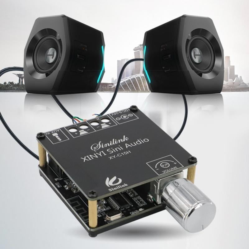 Dual Channel Digital Power Amplifier Board DC9-24V/2A for DIY Sound System