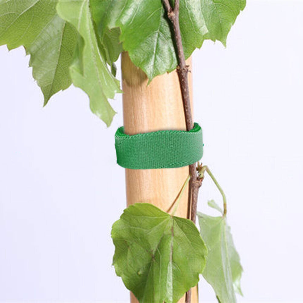 Garden Plant Tape Nylon Bandage Ultra Thin Tie Garden Accessories (1cm*1m)