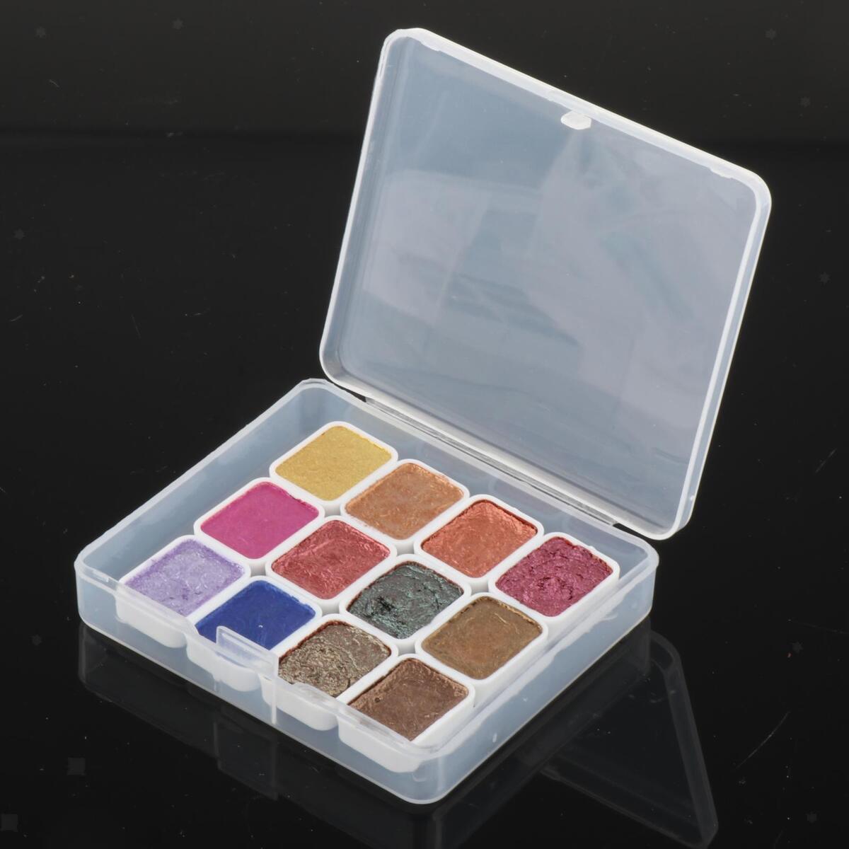 Nail Pigment Solid 12 Colors Pigment Powder Nail Art Powder for Beginners