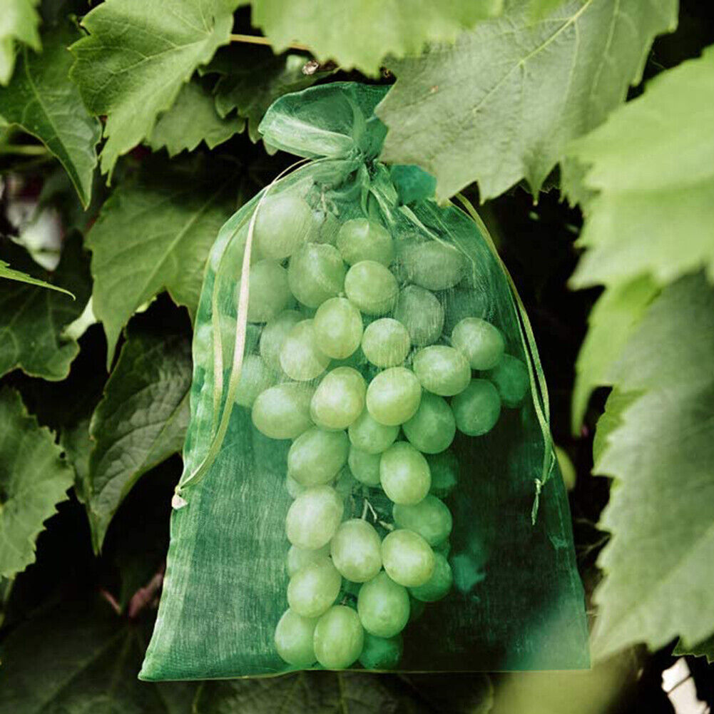 50pcs Garden Drawstring Net Bags Vegetable Fruit Grapes Protection Pouch