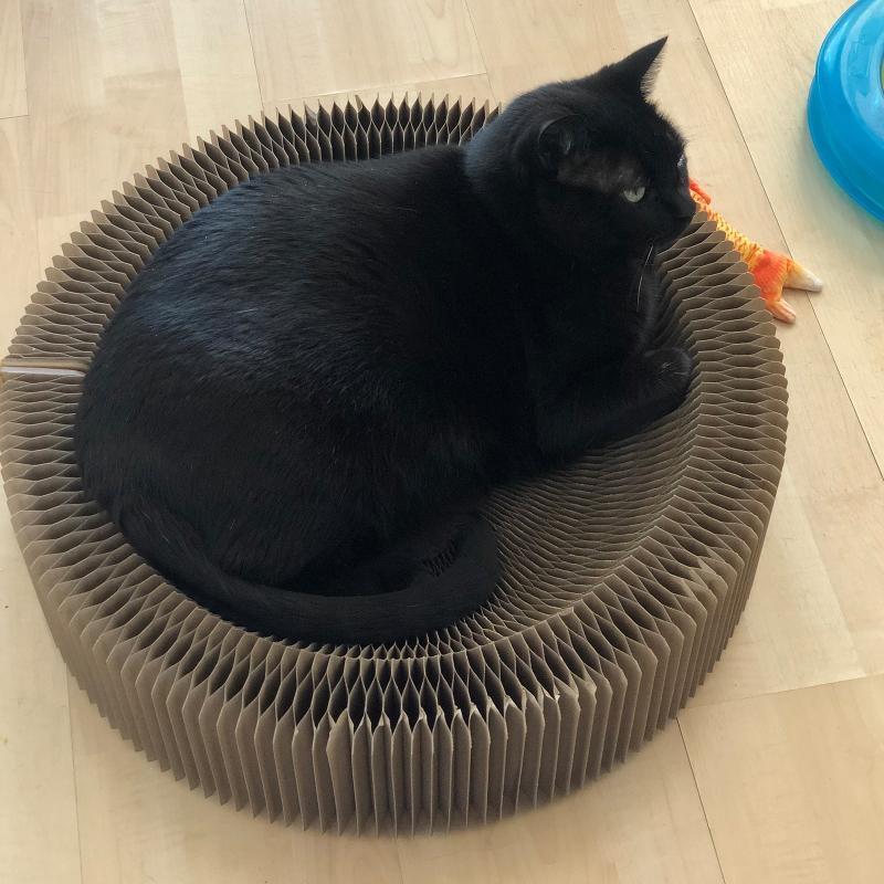 Cat Scratch Couch Bed Durable Pad prevents Furniture Damage Furniture Protection