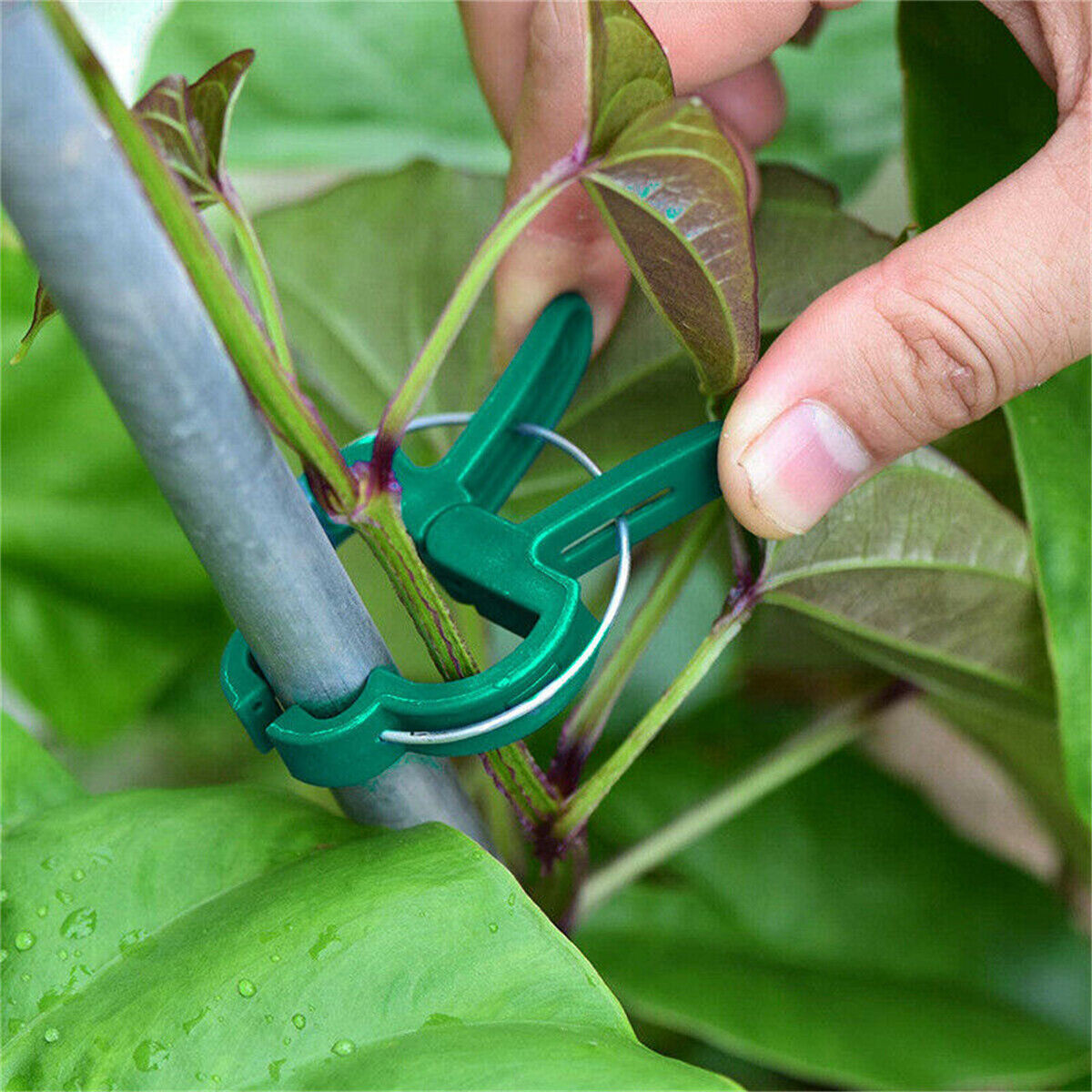 30X Garden Plant Clips Tomato Tie Stem Orchid Support Weatherproof Grow Training