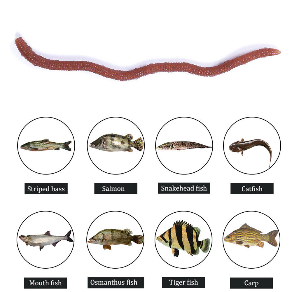 50pcs Red Worm Soft Lure Earthworm Shrimp Bass Fishing Bait (8cm Red Brown)