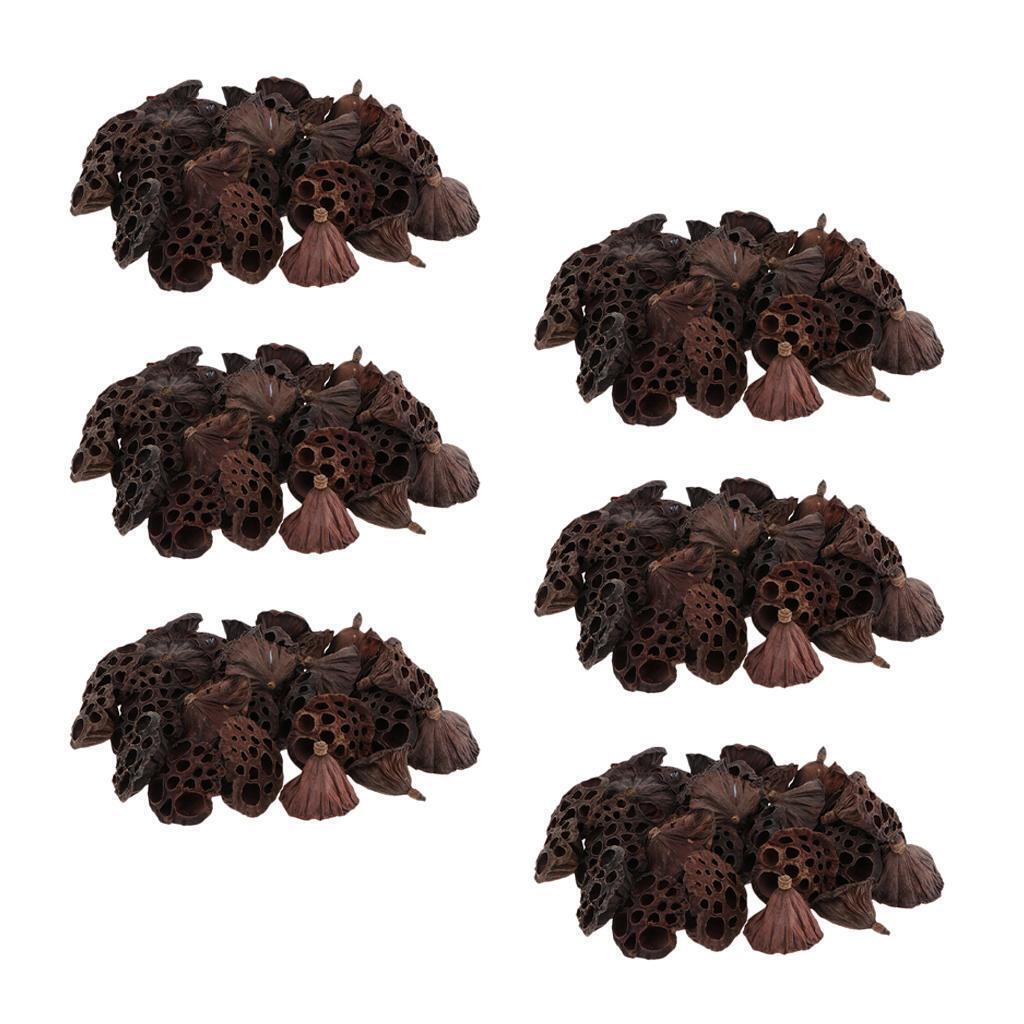 180pcs Natural Dried lotus pod Flowers Fruit for floral decor crafts DIY
