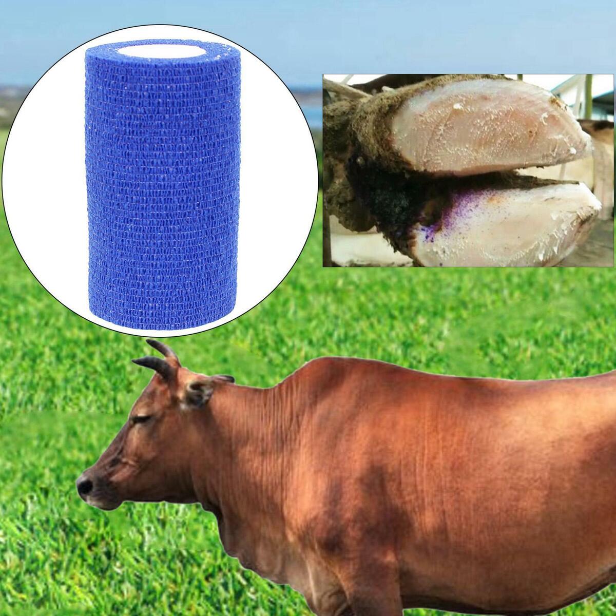 Vet Tape Non-Woven Elastic Cohesive Bandage First  Cow Horses Tape