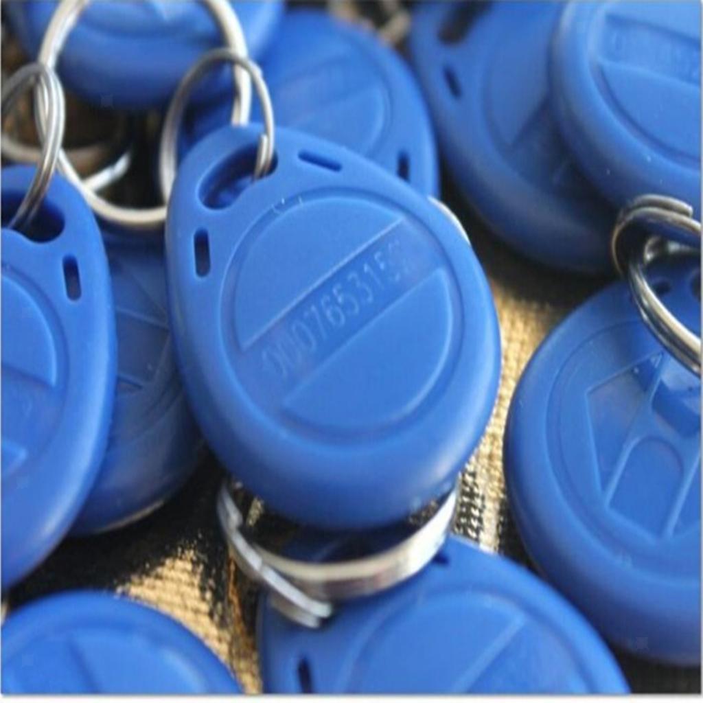 100 Pieces 125 KHz   EM4100 EM4102 Access Control System Key Fobs for Home