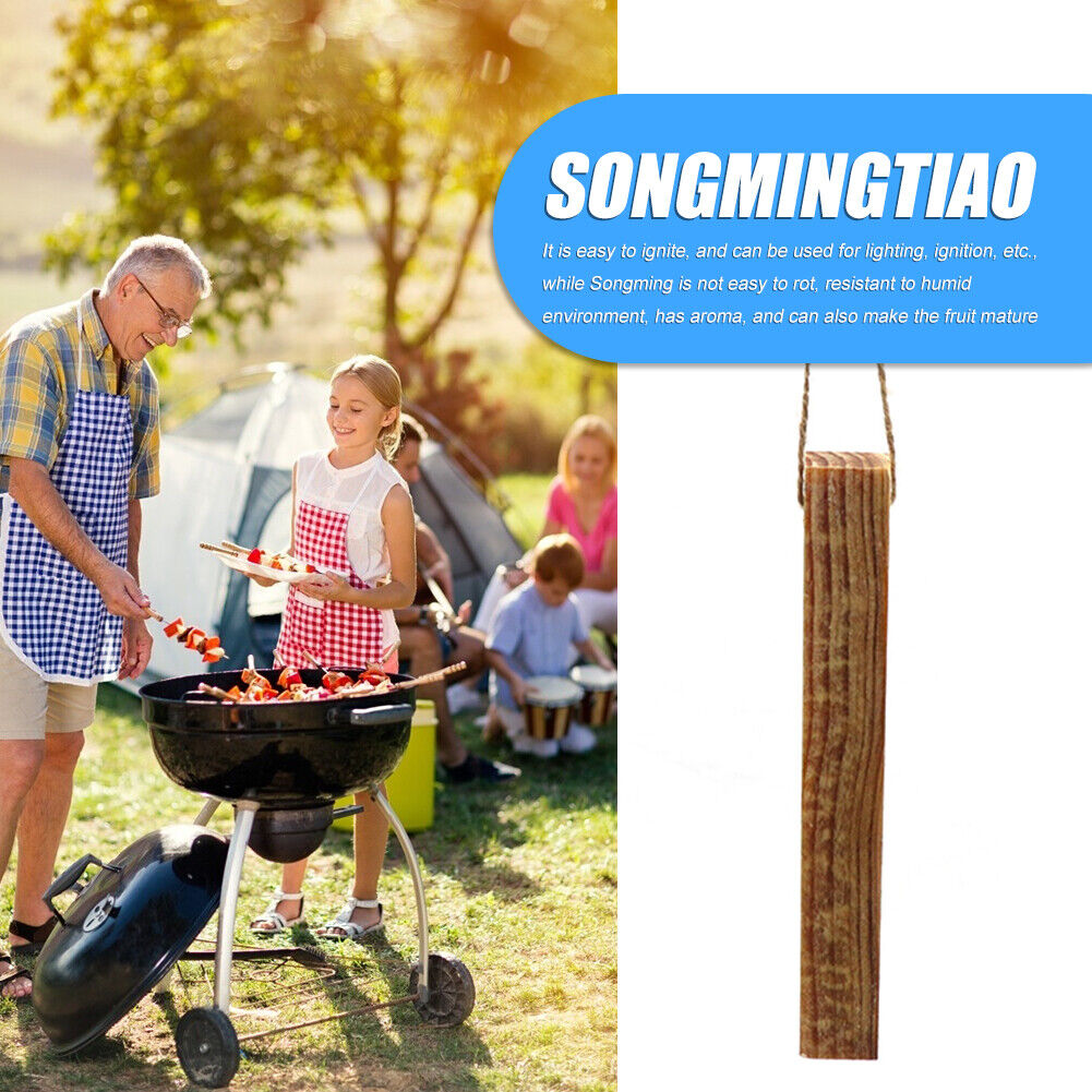 BBQ Bonfire Pinewood Charcoal Fire Outdoor Camping Hiking Survival Tools
