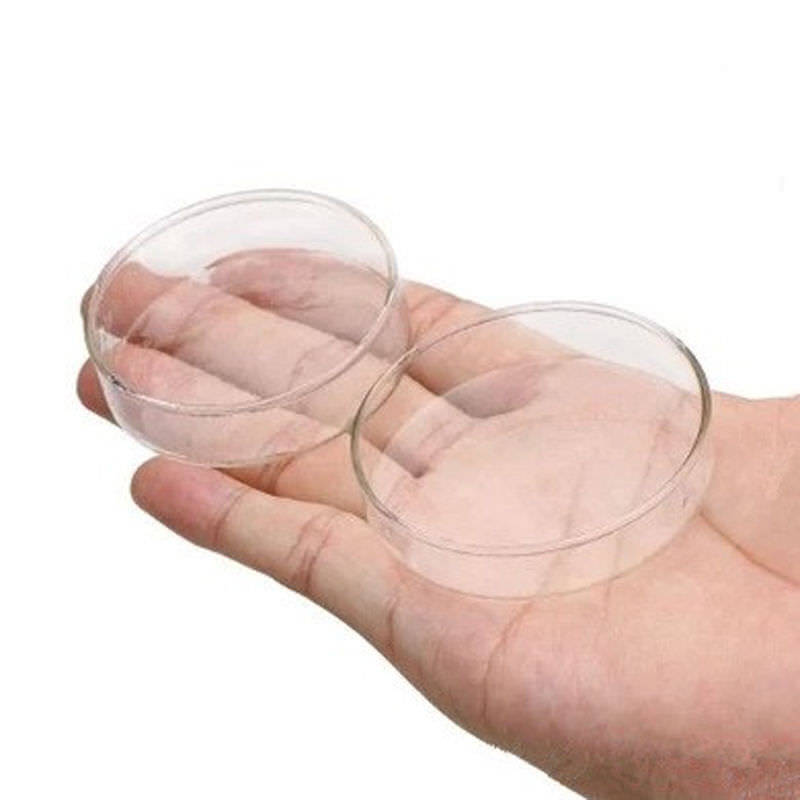 Tray Container Acrylic. Aquarium Fish Tank Clear Shrimp Feeding Food Dish Feeder