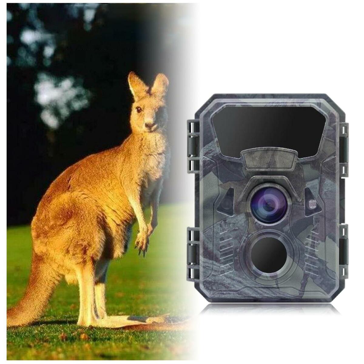 Mini  Camera Game Hunting Cam IP66 Waterproof Battery Powered Wildlife