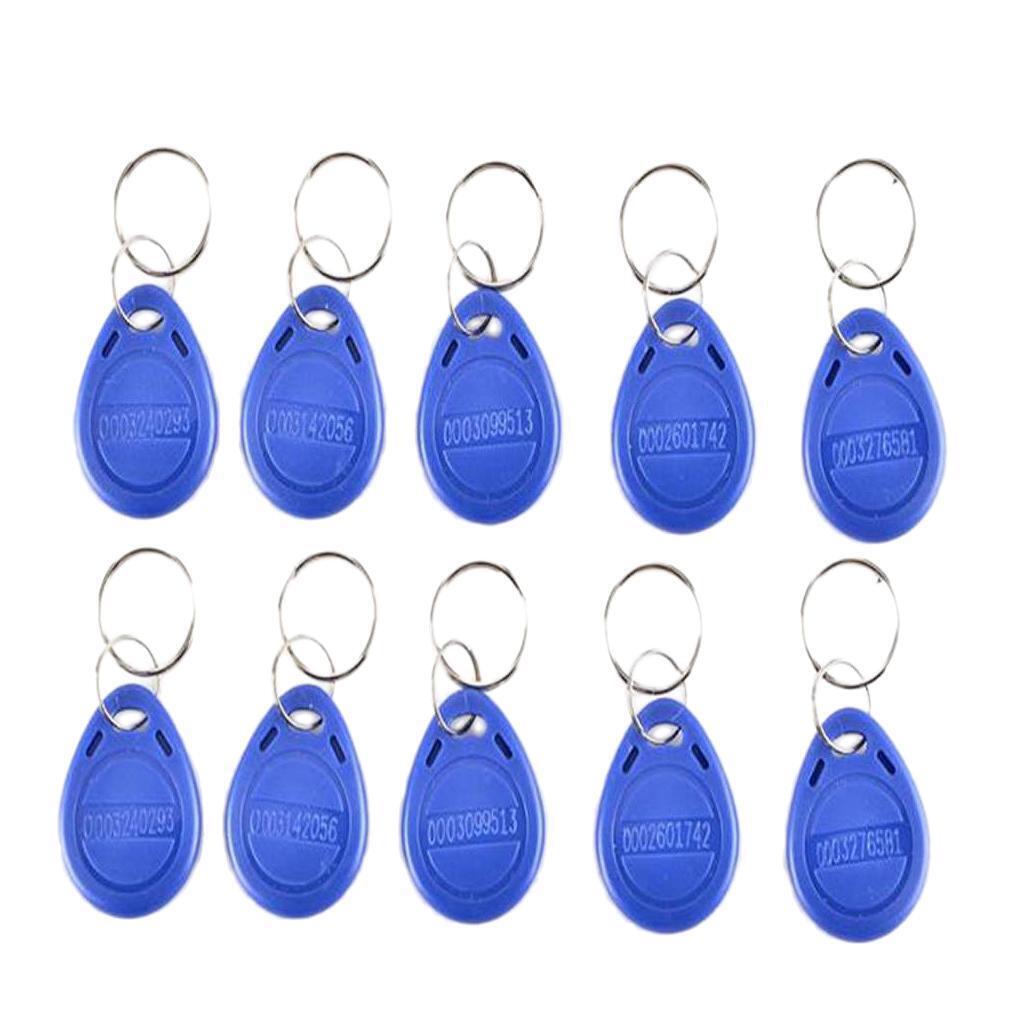 100 Pieces 125 KHz   EM4100 EM4102 Access Control System Key Fobs for Home