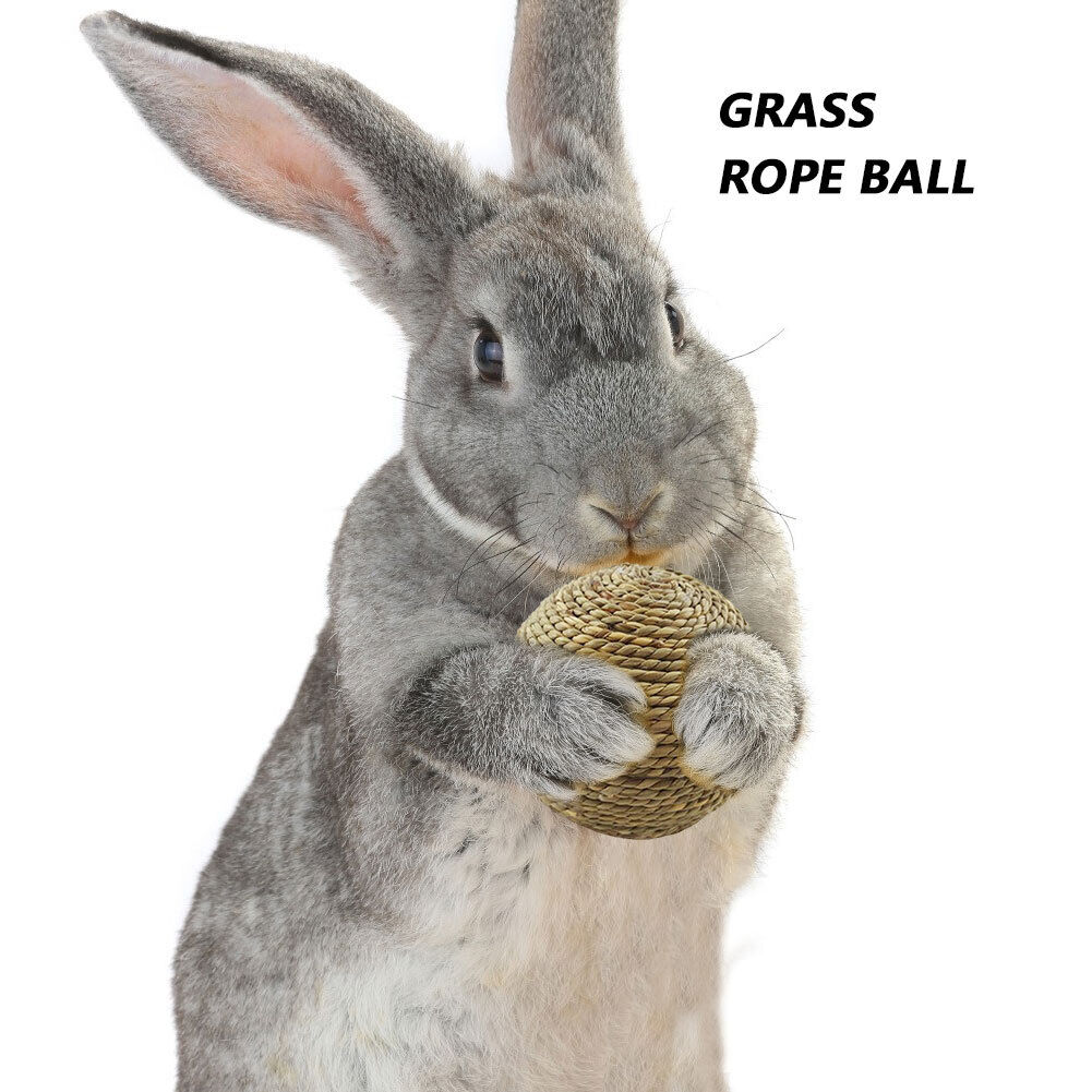 Small Animal Chew Grass Ball Pet Hamster Molar Tooth Clean Balls (Straw)
