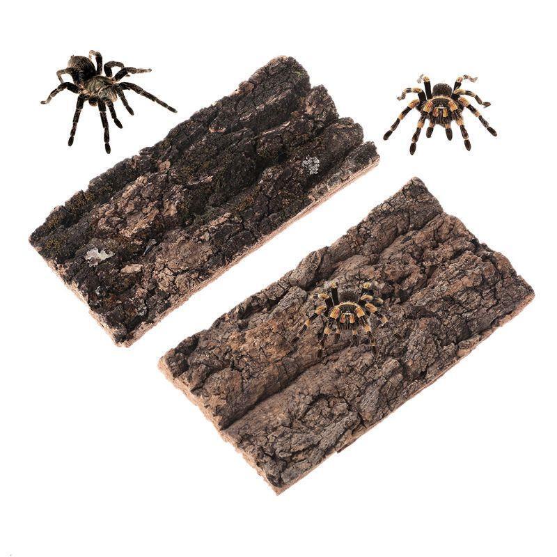Flat Cork Bark Terrariums Water Tank Decorations for Orchids Airplants Reptiles