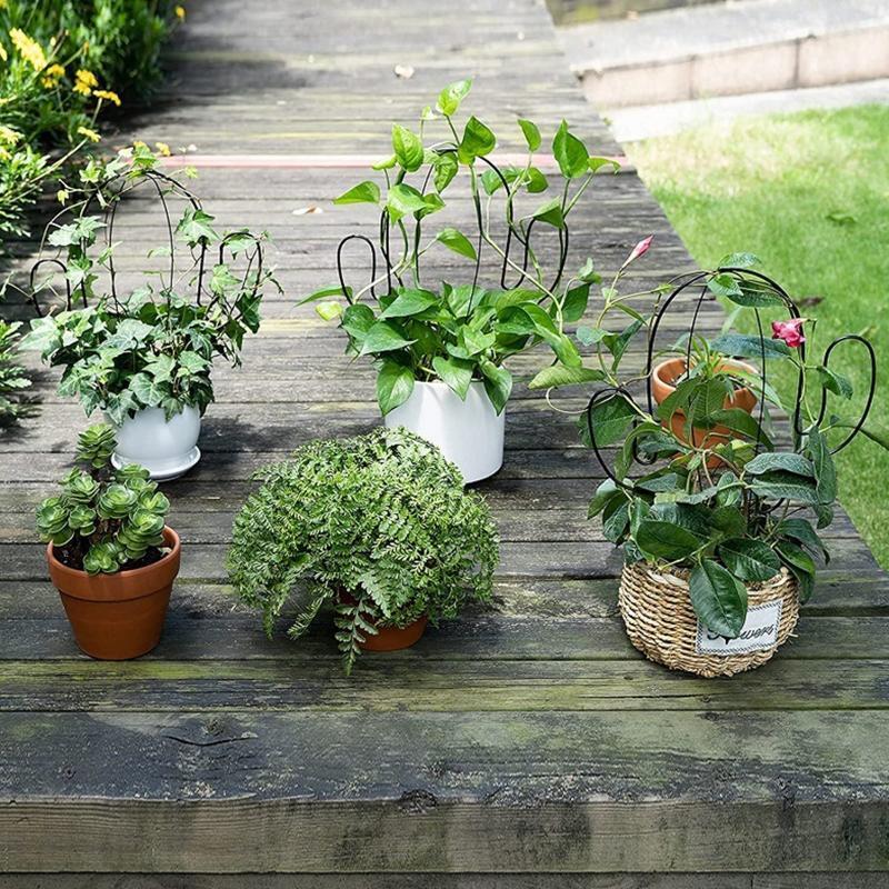Cactus Shape Garden Metal Climbing Support Stake Stand Frame for Flowers Plants