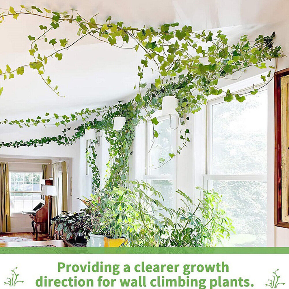 10pcs Plant Fixture Clip Climbing Wall Self-Adhesive Fastener Vine Buckles