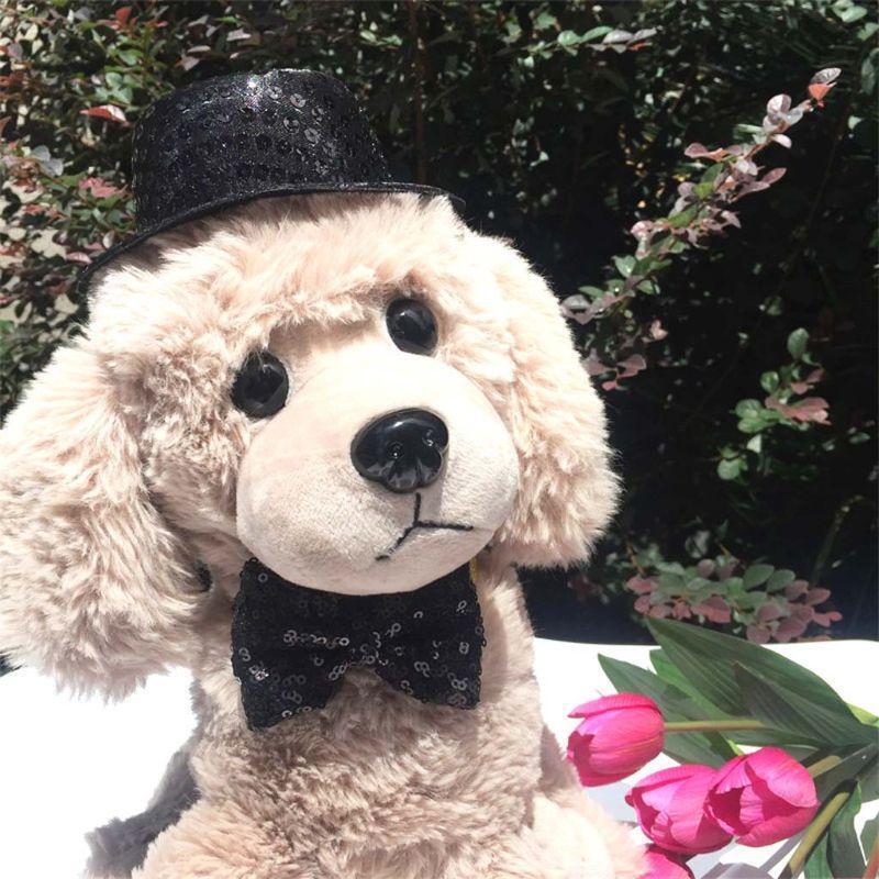 Dog Top Hat & Bow Ties Pet Birthday Costumes Set for Cat Dog Christmas Birthday