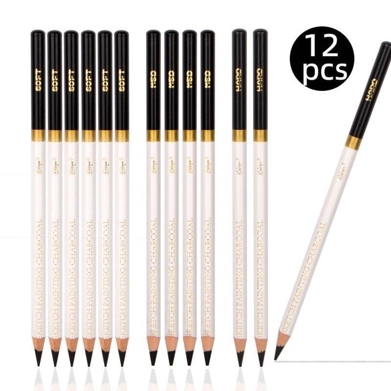 12 Pieces Professional Sketch Pencils Charcoal Pencil for Beginner  Art Painting