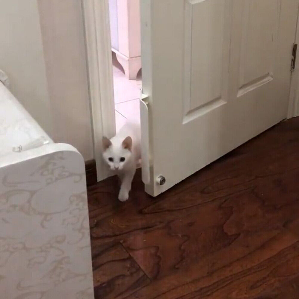 Dog Cat Door Opener Automatical Puppy Kitten ABS Doors Opening Enter Freely