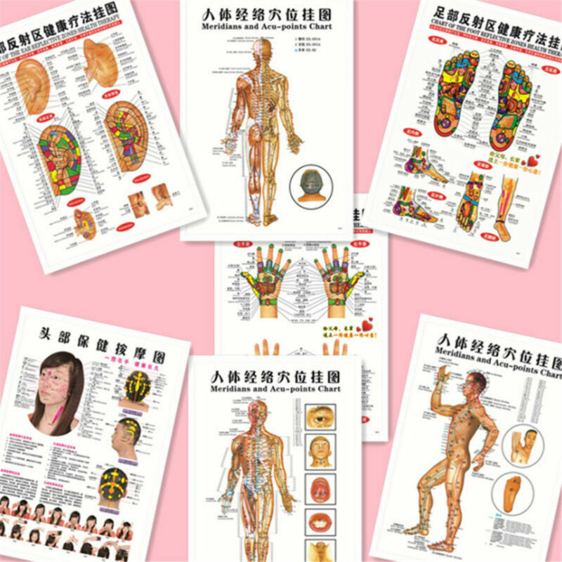7pcs/set English Acupuncture Meridian Acupressure Points Posters Chart Wall Map