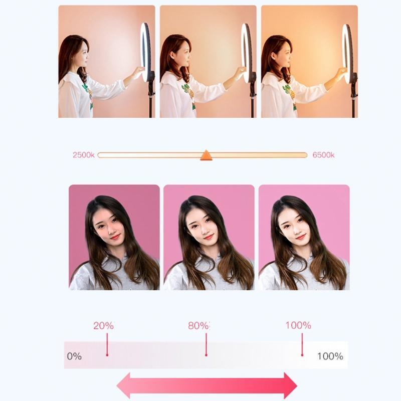 Live Video Fill Light Live Video Fill Light with Moible Phone 2500-8000K