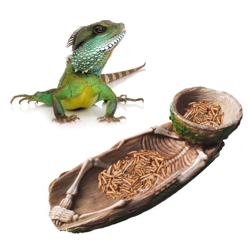 Skeleton Reptile Food Bowl Amphibian Pet Cage Rock Decoration Water Injection