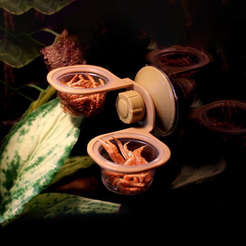 Food Water Dish Bowl Feeder Feeding For Reptile sLizard Turtle Amphibian Gecko