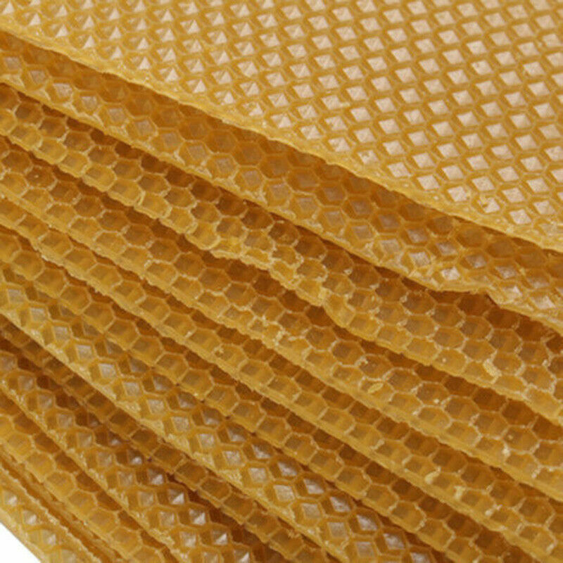 10x Beekeeping Honeycomb Foundation Wax Frame Honey Hive Equipment Tool Supplies