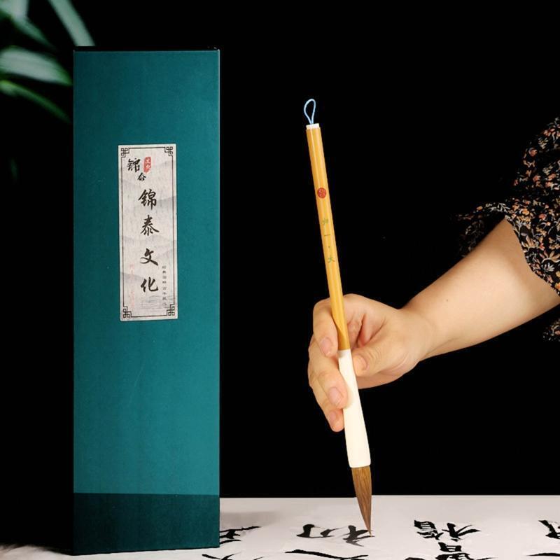 Beginner Calligraphy Brush Set Chinese Brush Pen Fit for Regular/Cursive Scripts