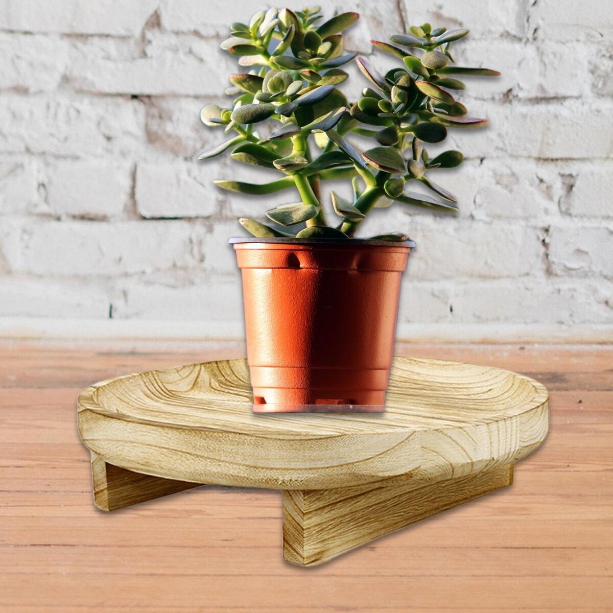 2x Wooden Plant Pot Riser for Porch Backyard Indoor Outdoor Flower Plant