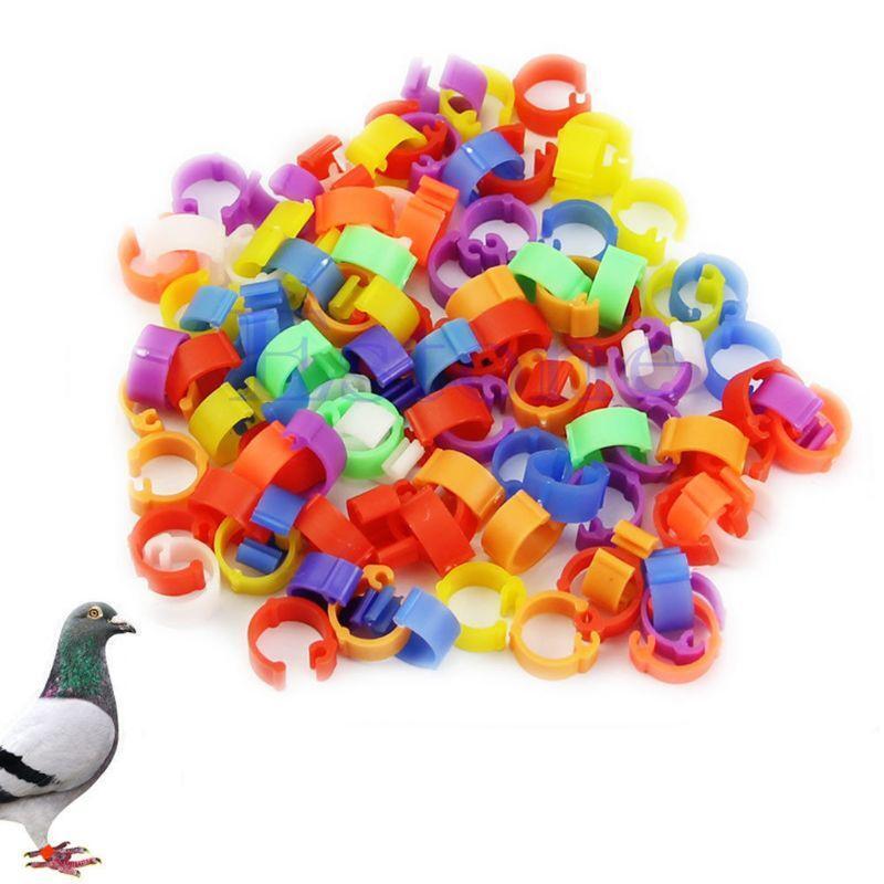Pigeon Leg Rings 100Pcs Poultry Leg Ring Bands  Chicks Lovebird Small Poultry