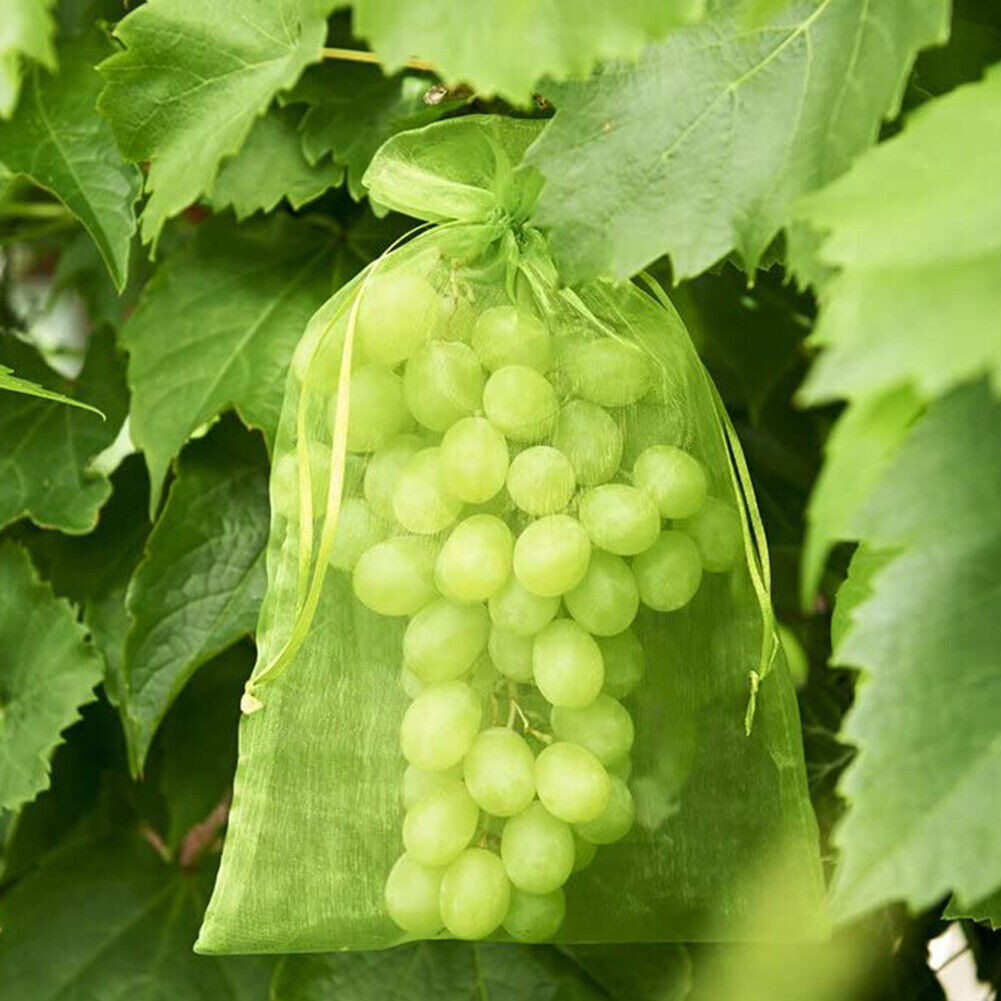 50pcs Garden Drawstring Net Bags Vegetable Fruit Grapes Protection Pouch