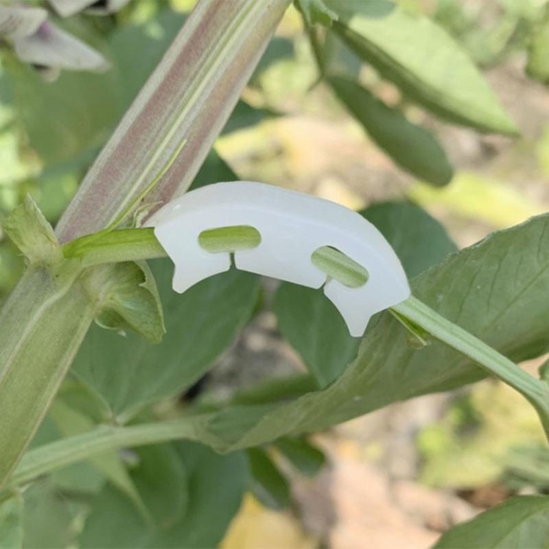 50 Pcs Plastic Fruit Vegetable Fixing Tools Durable Plants Support Clips Clamp