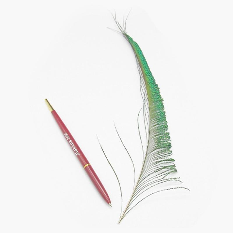 20 Pieces/Pack Natural Peacock Sword Feathers Exquisite Birthday Gift Box Filler