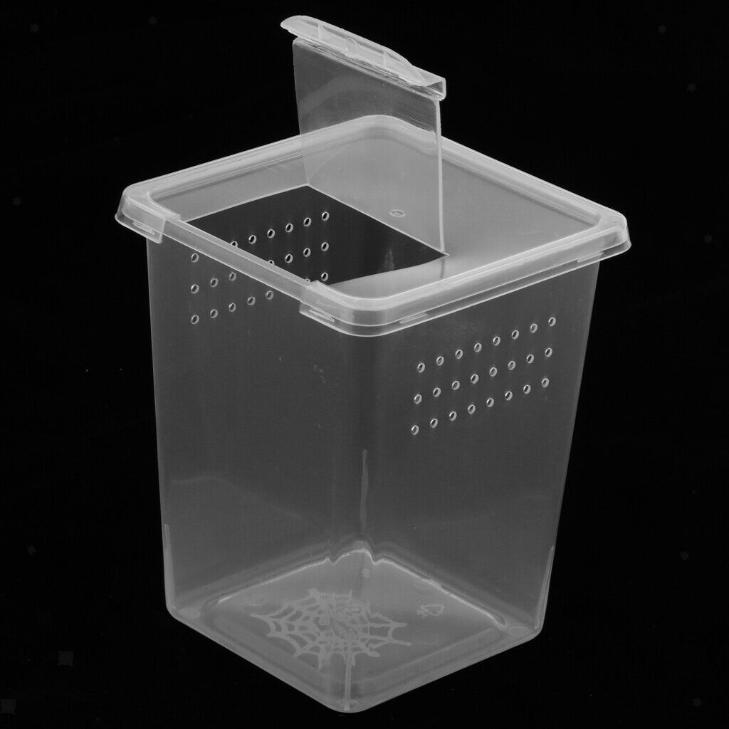 Plastic Insect Reptile Spider Habitat Feeding Box Container Case Hatching Tank