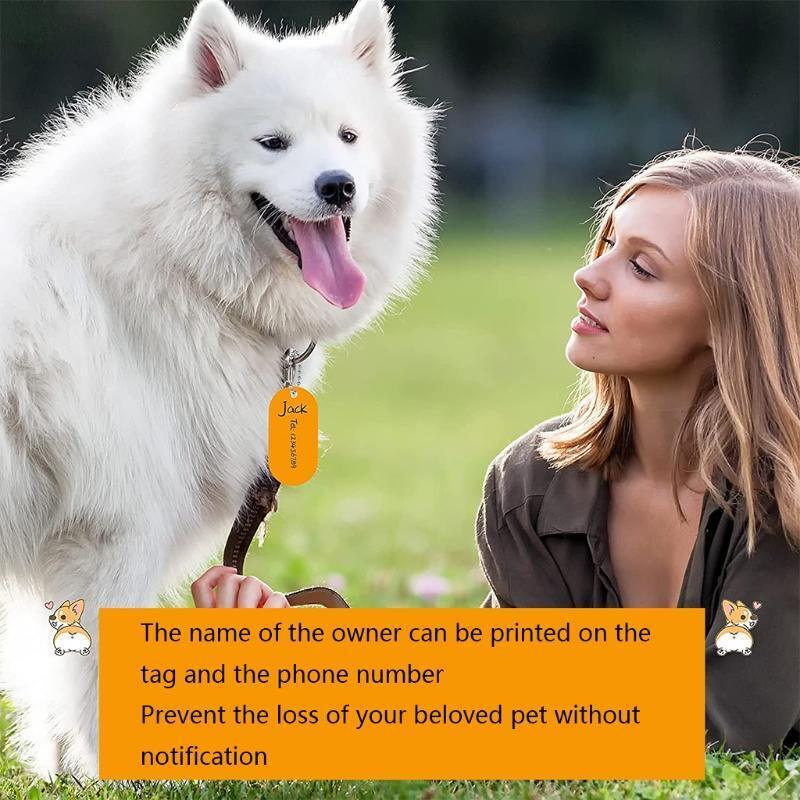 31Pcs/Set Mini Sublimation Stamping Tag for Pet Keycahin Dog Name Label Pendant