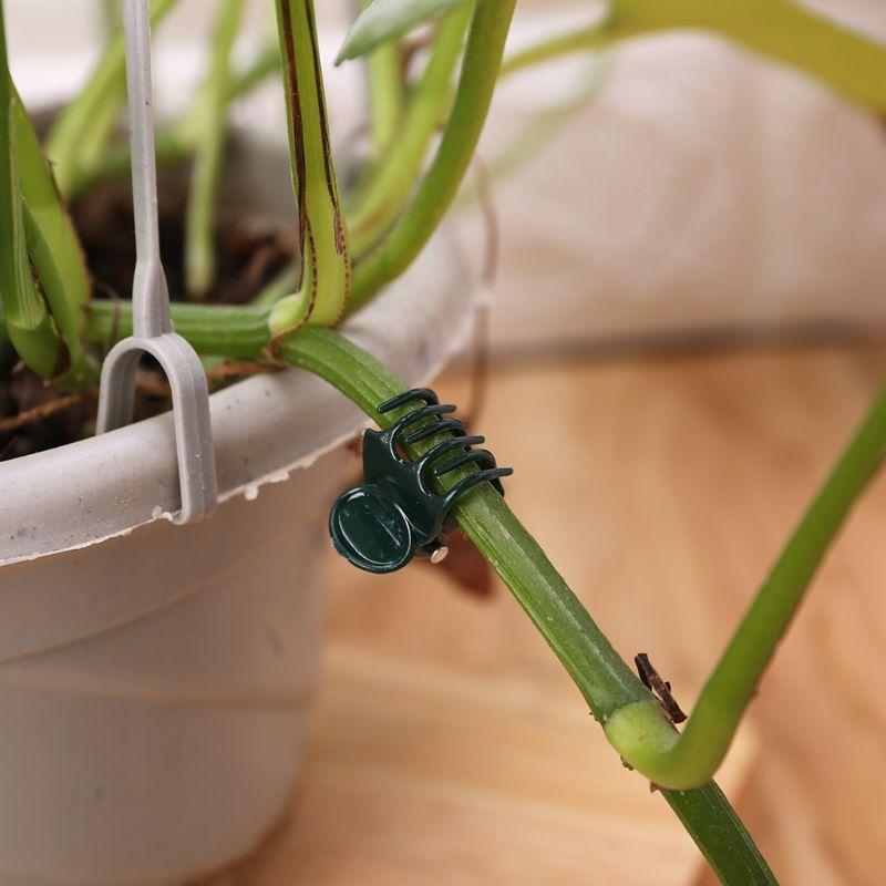 100 PCS Plant Support Clips Garden Clips Flower Orchid Stem Clips for Vine
