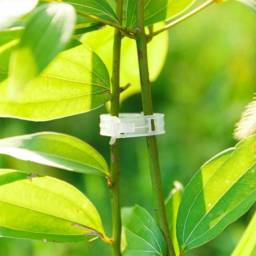 50x/bag Plastic Plant Support Clips Hanging Vine Connects Plants Protection