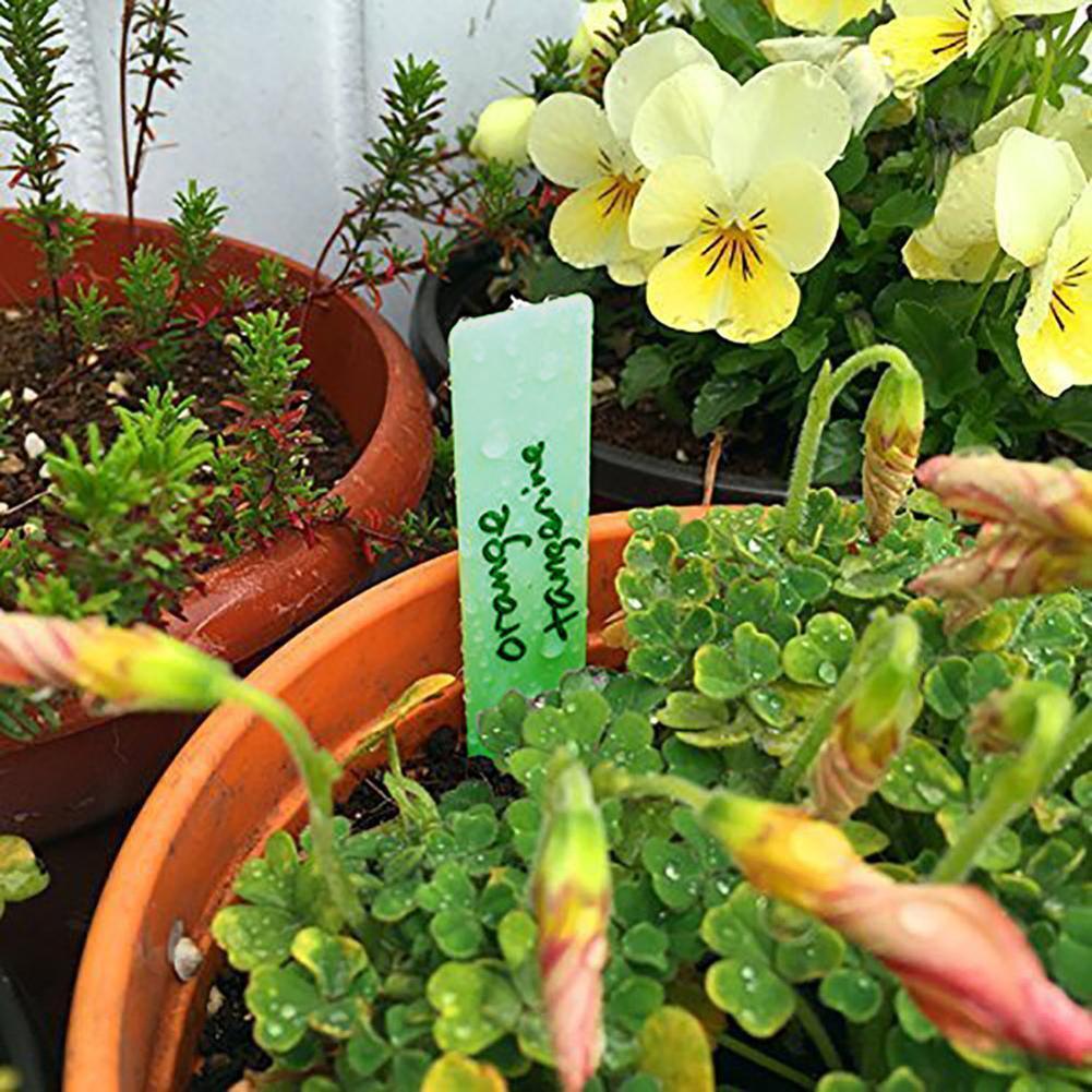 20pcs Plastic Plant Label Garden Nursery Markers Flower Pot Seedling Labels