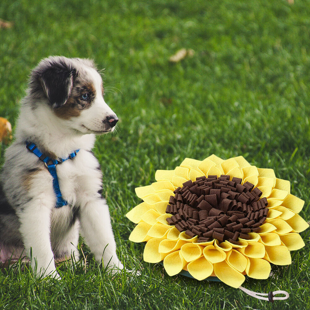 Pet Dog Snuffle Sunflower Mat Nose Smell Training Sniffing Pad Feeding Bowl