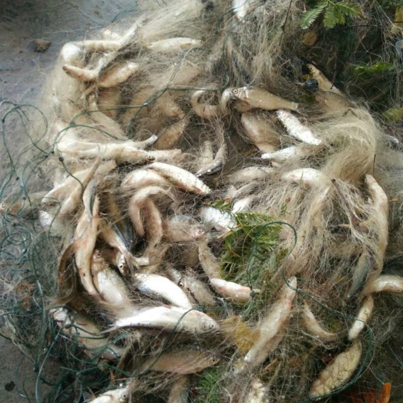 Fine Fish Net w/ Floats Cast Net Easy Throw Catch Fishing Net Hunting Hand Throw