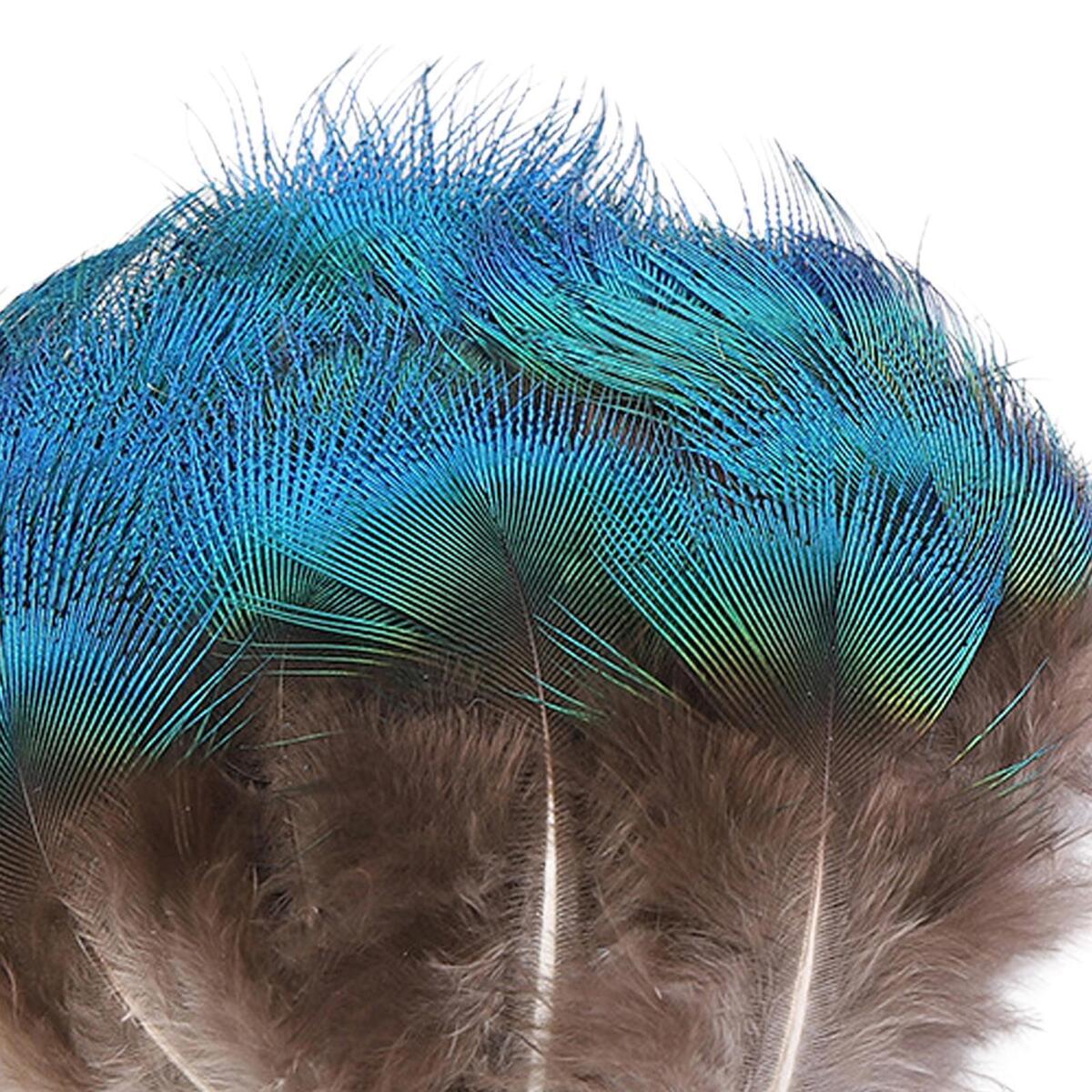 10x Blue Peacock Feathers DIY Headdress Craft Bulk Body Feathers for Show Vases