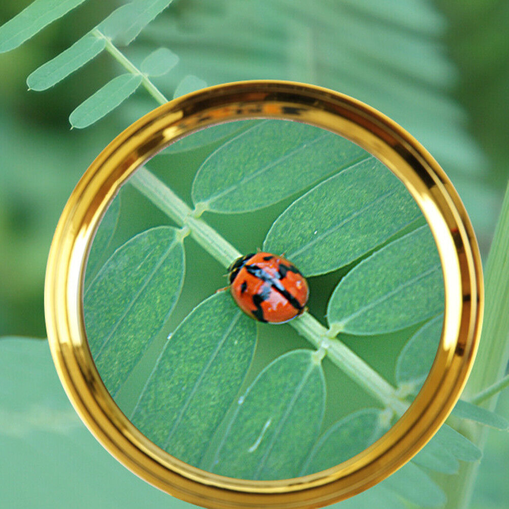 Detachable Dragon Handle Magnifying Glass Optical Lens Magnifier (90mm)