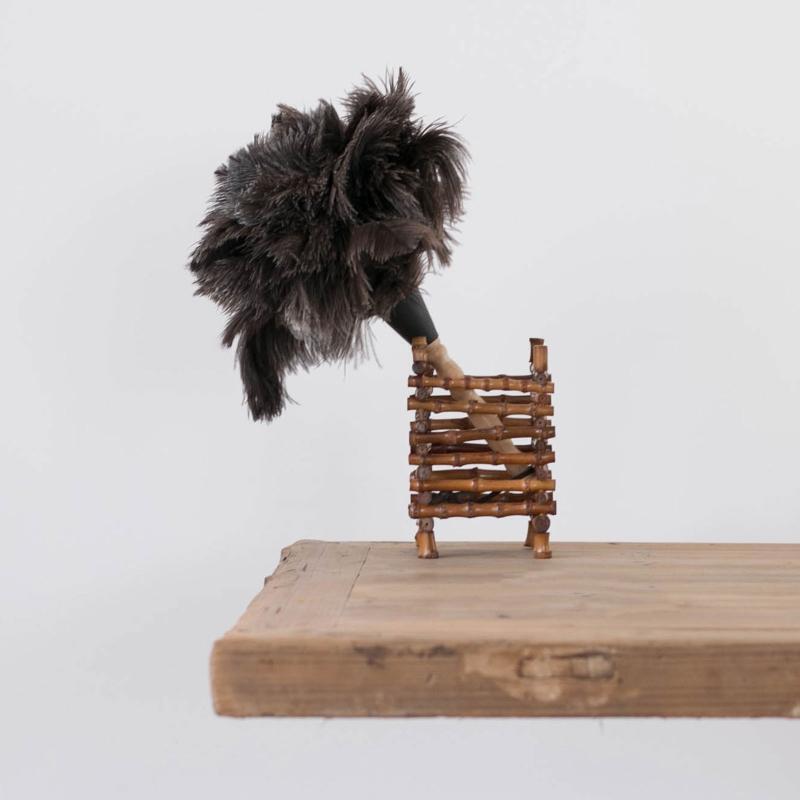 Ostrich Duster Feather Cleaning Brush Wood Handle Computer Dust Removal