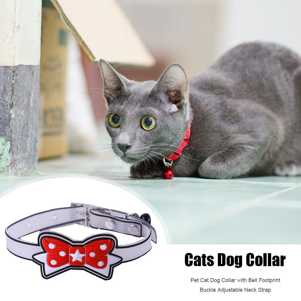 Pet Collar Silicone Night Safety Luminous Fluorescent Harness (Tie Red)
