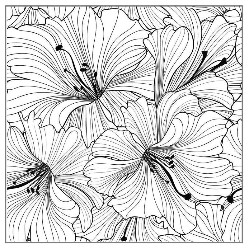 Flower Frame Clear Silicone Stamp Kids Decorative Transparent Stamp Rubber Seal
