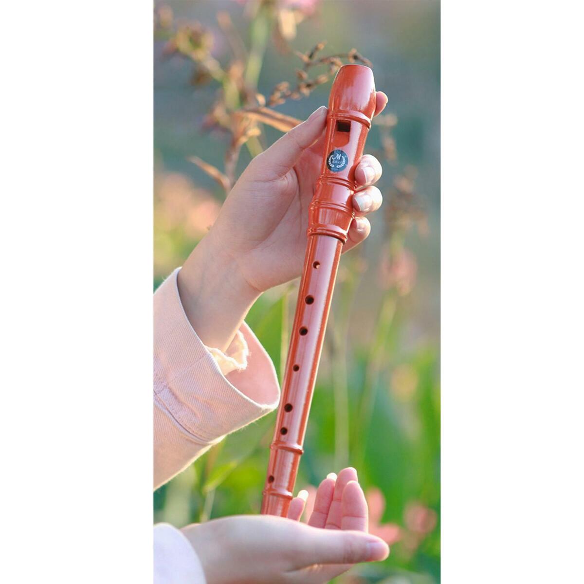 Set Woodwind Musical Instrument  for Beginner Practice