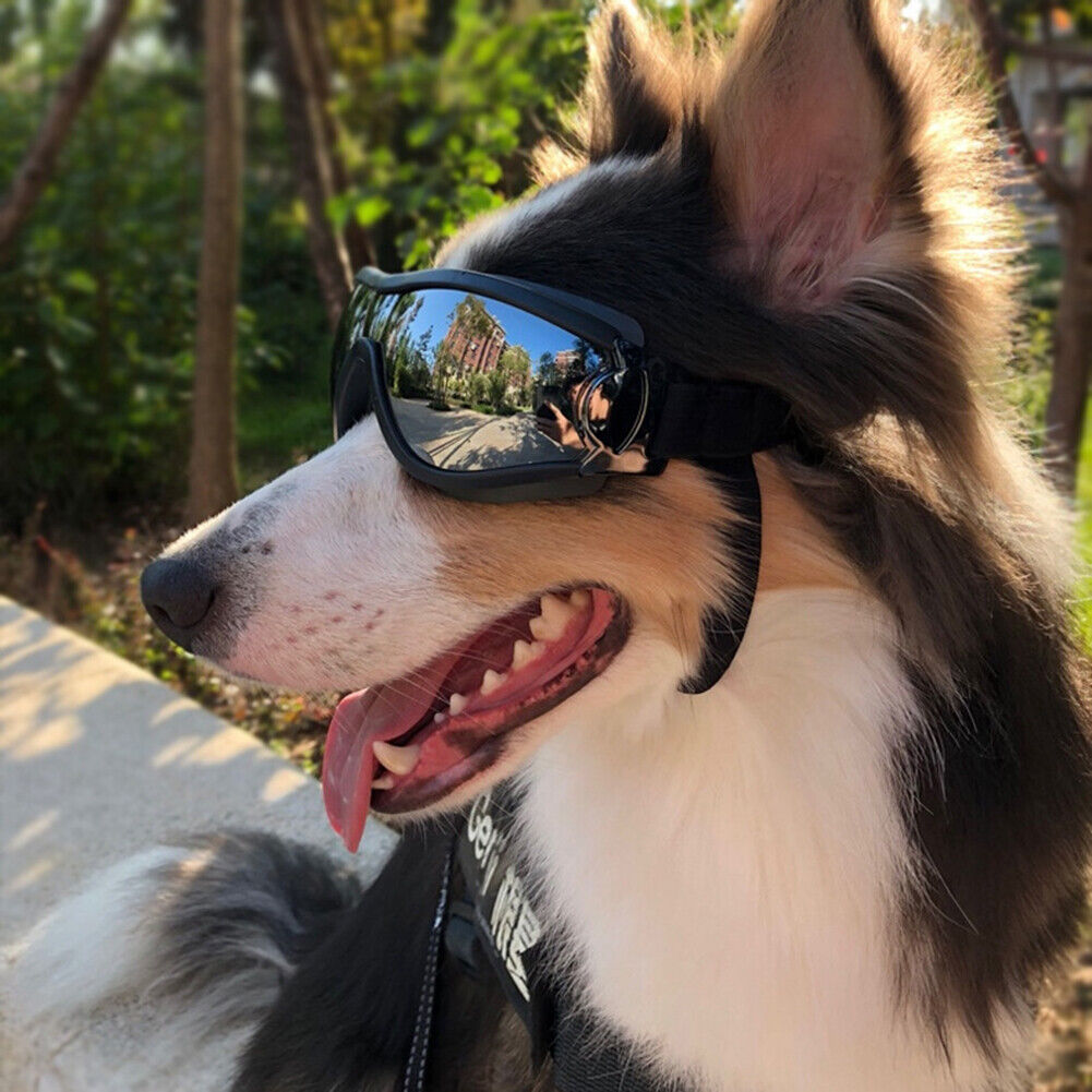 Pet Dog Sunglasses Fashion Cool Foldable Puppy Glasses Waterproof Goggles